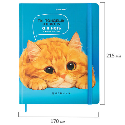 092858176441d9217acff2dcfefc8743_x