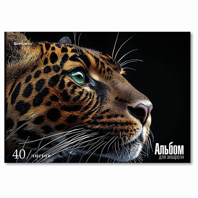 52b5d9ebede93381f64feac192bc61f8_x