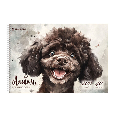 5e77d1534a58ab91f3ca0b91818eb7b5_x